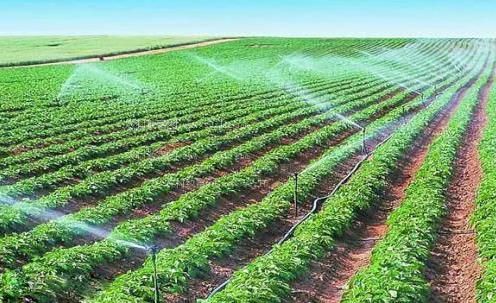 找个日屄视频看农田高 效节水灌溉